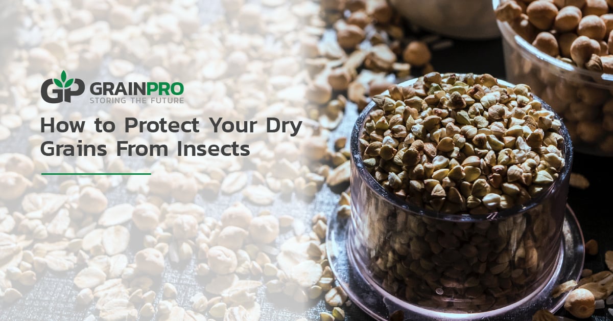 How to Protect Your Dry Grains From Insects